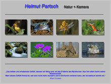 Tablet Screenshot of helmut-partsch.de